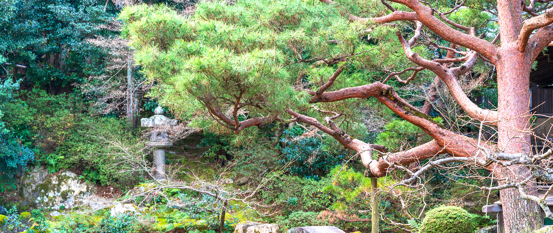 株式会社行徳庭園緑花