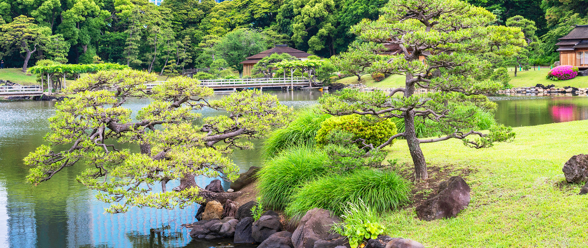 株式会社行徳庭園緑花