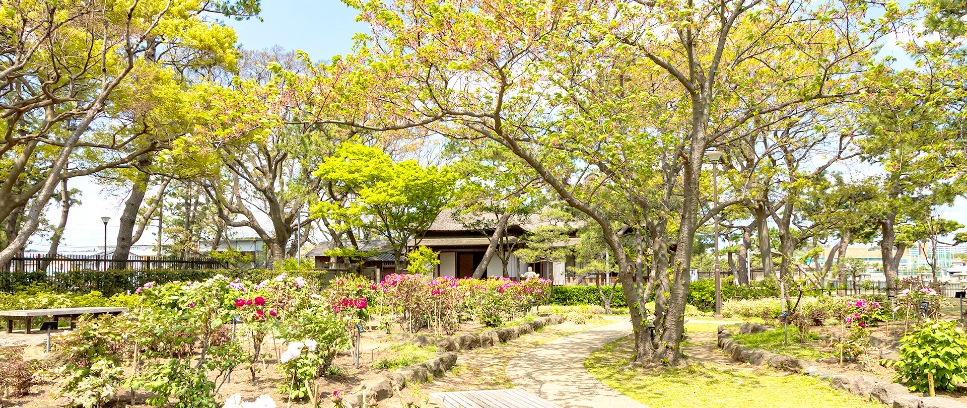 株式会社行徳庭園緑花