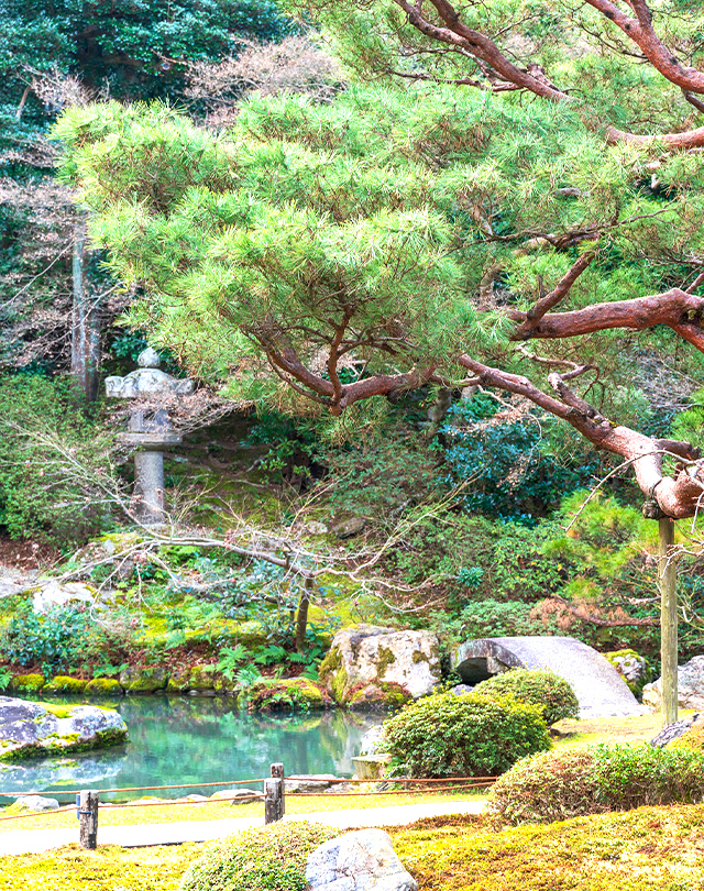 株式会社行徳庭園緑花