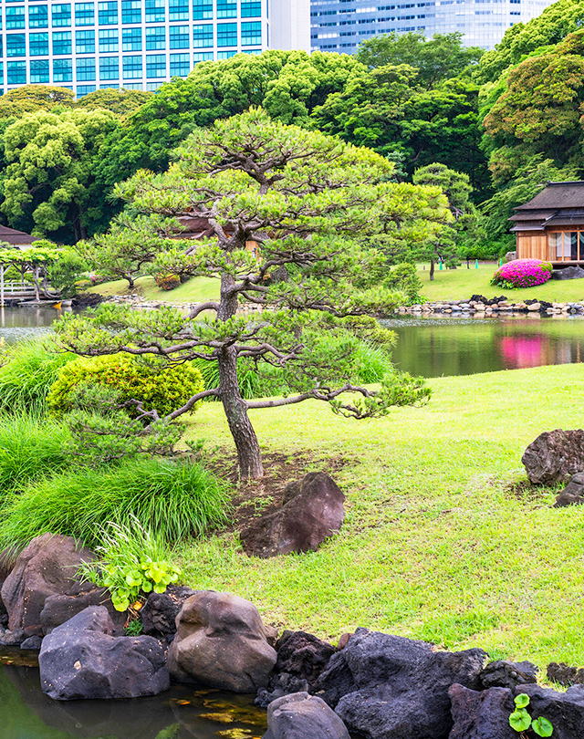 株式会社行徳庭園緑花